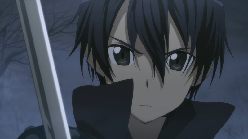 Illustration for article titled “Sword Art Online is the Best Anime Ever”